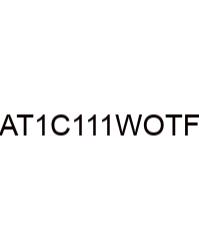 According To 1 Corinthians 15 17-19 Which Of The Following