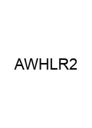 Ap World History Leq Rubric 2025