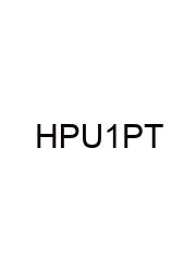 Honors Physics Unit 1 Practice Test