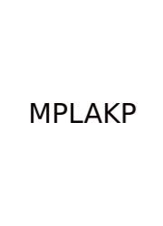 Molarity Phet Lab Answer Key Pdf