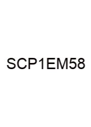 Sam Capstone Project 1a Excel Modules 5-8