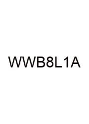 Wordly Wise Book 8 Lesson 12 Answers