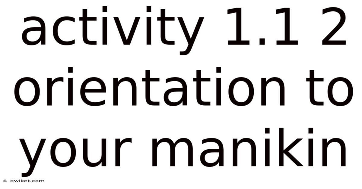 Activity 1.1 2 Orientation To Your Manikin