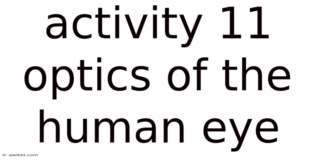 Activity 11 Optics Of The Human Eye