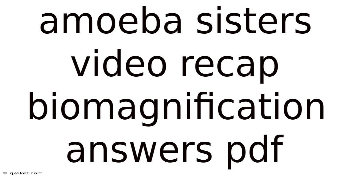 Amoeba Sisters Video Recap Biomagnification Answers Pdf