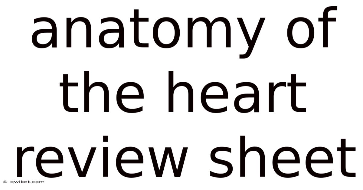 Anatomy Of The Heart Review Sheet
