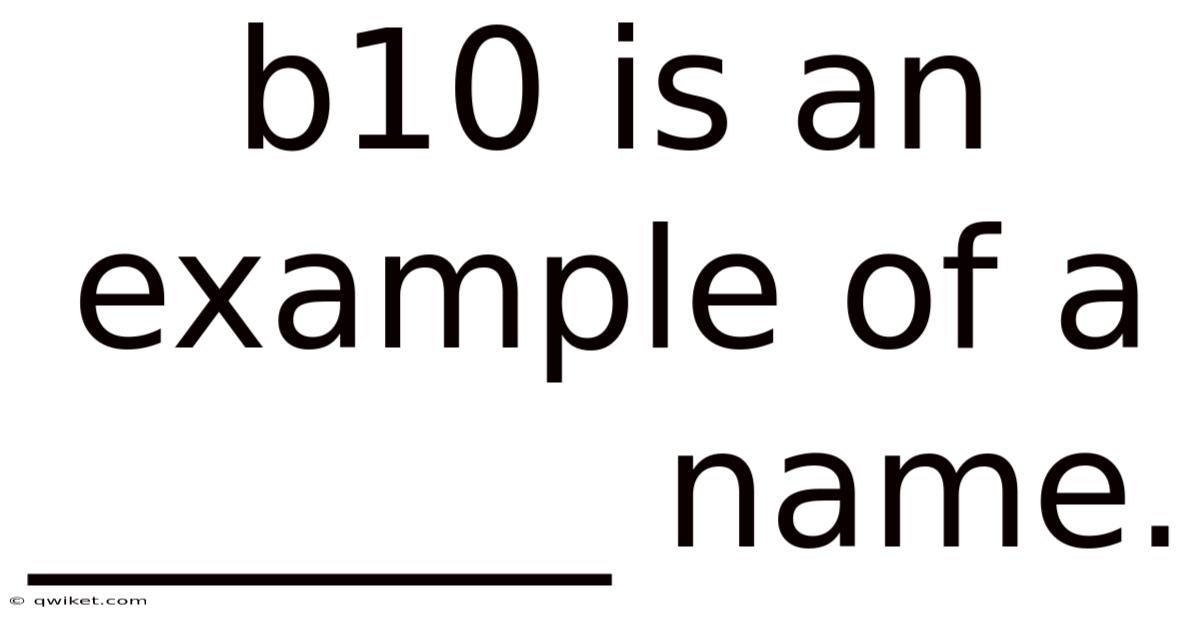 B10 Is An Example Of A _______ Name.