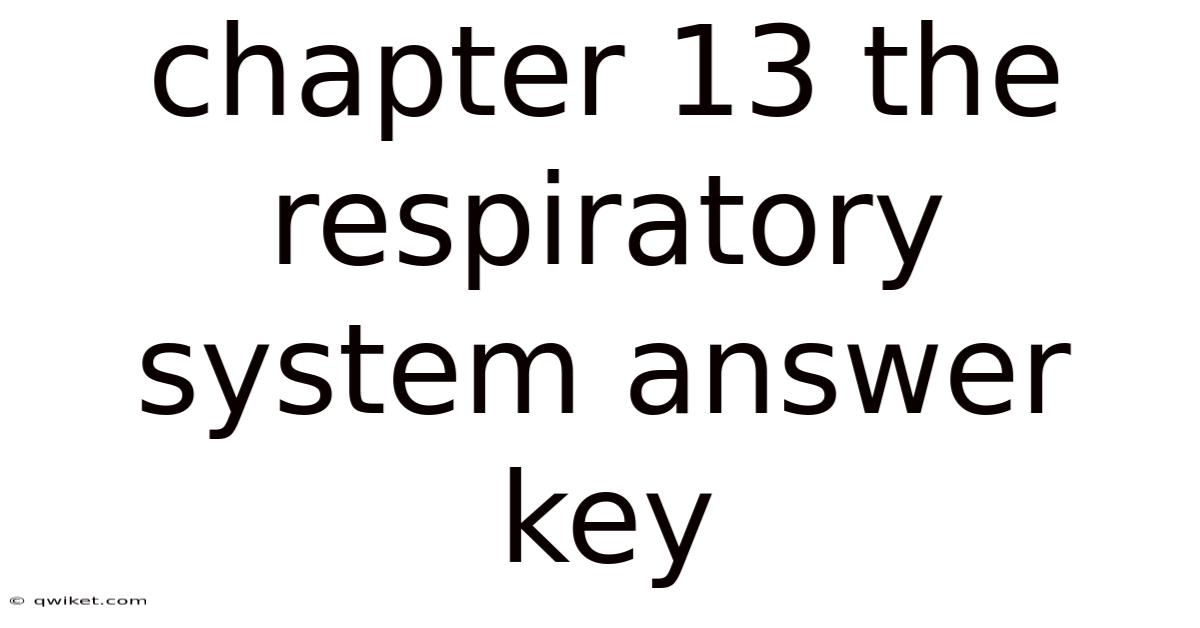 Chapter 13 The Respiratory System Answer Key