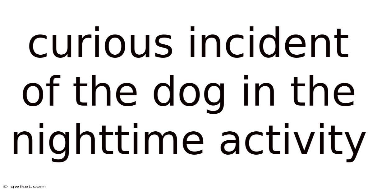 Curious Incident Of The Dog In The Nighttime Activity