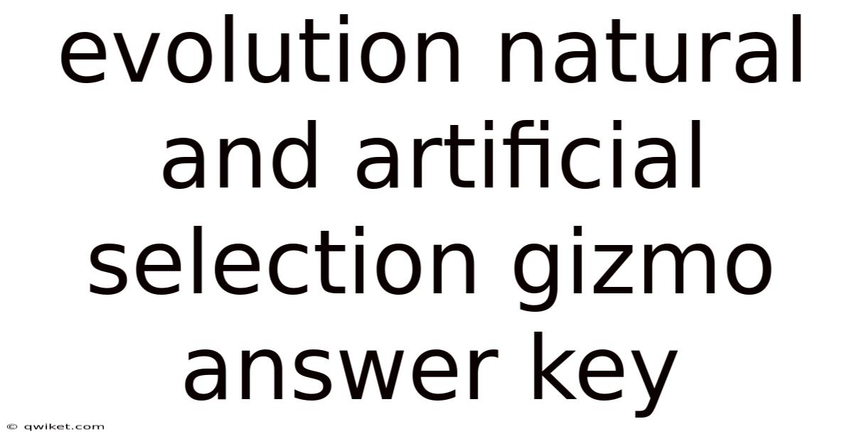 Evolution Natural And Artificial Selection Gizmo Answer Key