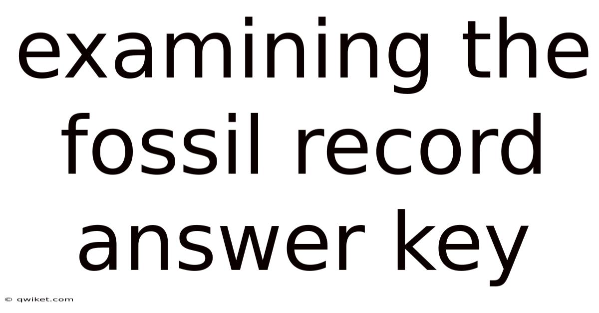 Examining The Fossil Record Answer Key