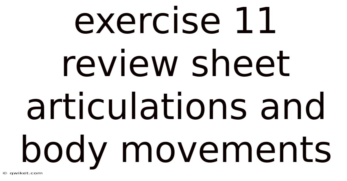 Exercise 11 Review Sheet Articulations And Body Movements