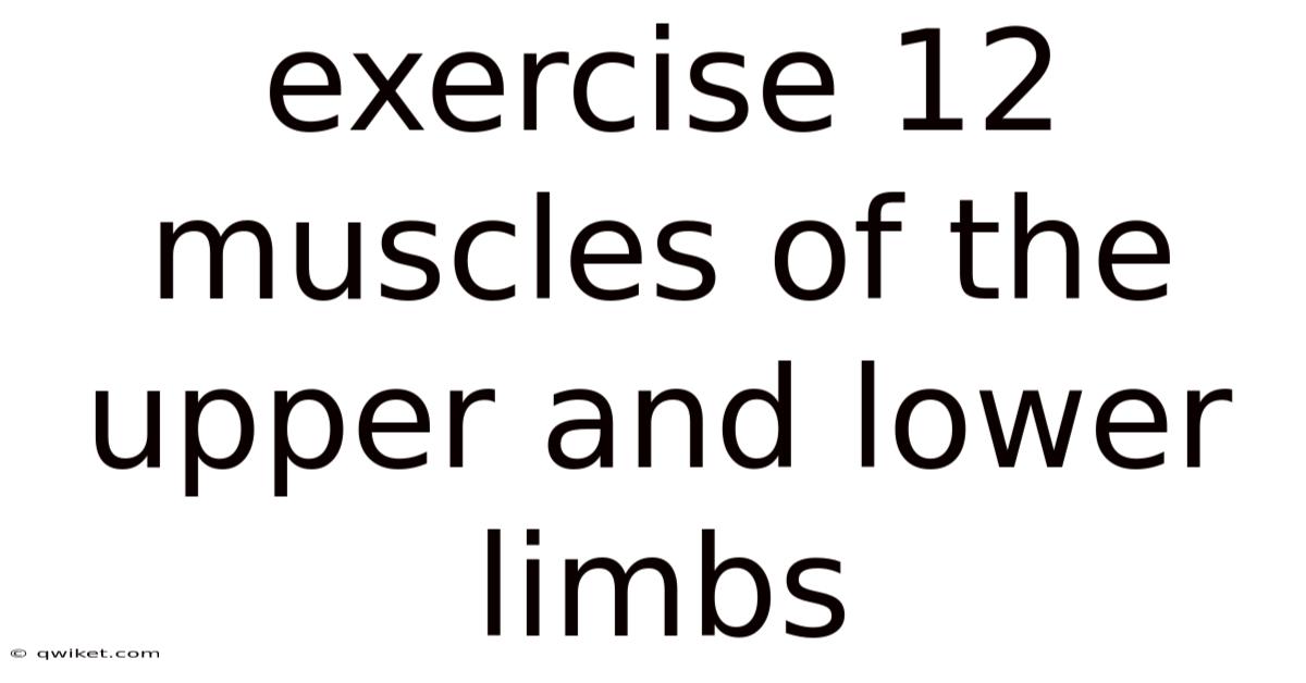 Exercise 12 Muscles Of The Upper And Lower Limbs