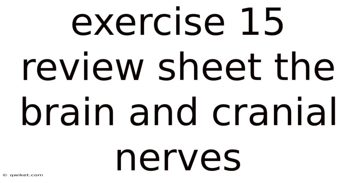 Exercise 15 Review Sheet The Brain And Cranial Nerves