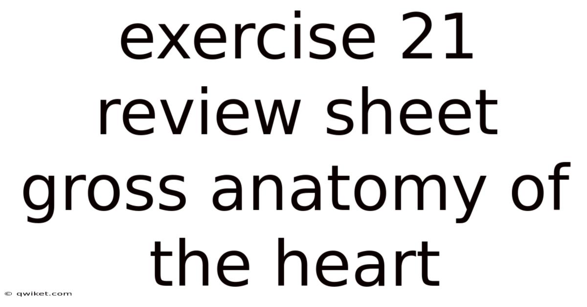 Exercise 21 Review Sheet Gross Anatomy Of The Heart