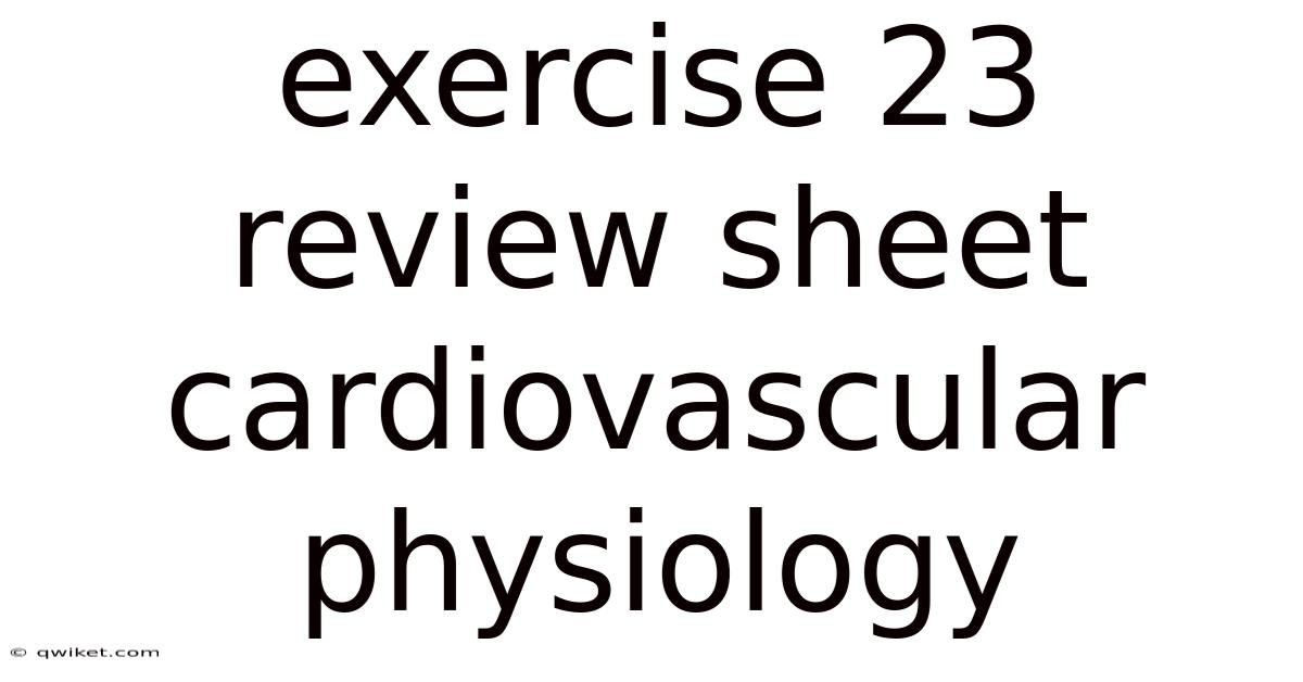 Exercise 23 Review Sheet Cardiovascular Physiology
