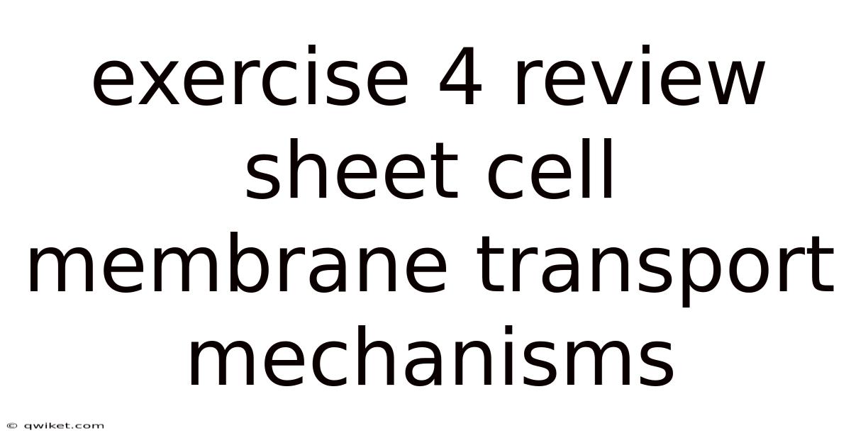 Exercise 4 Review Sheet Cell Membrane Transport Mechanisms