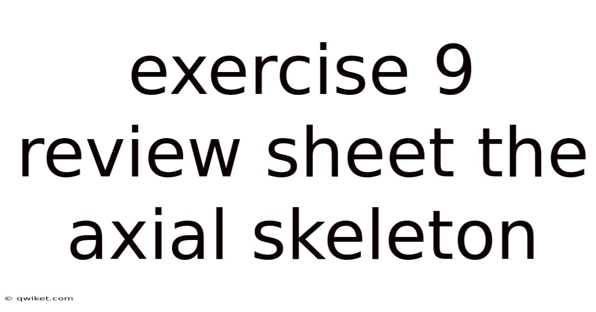 Exercise 9 Review Sheet The Axial Skeleton