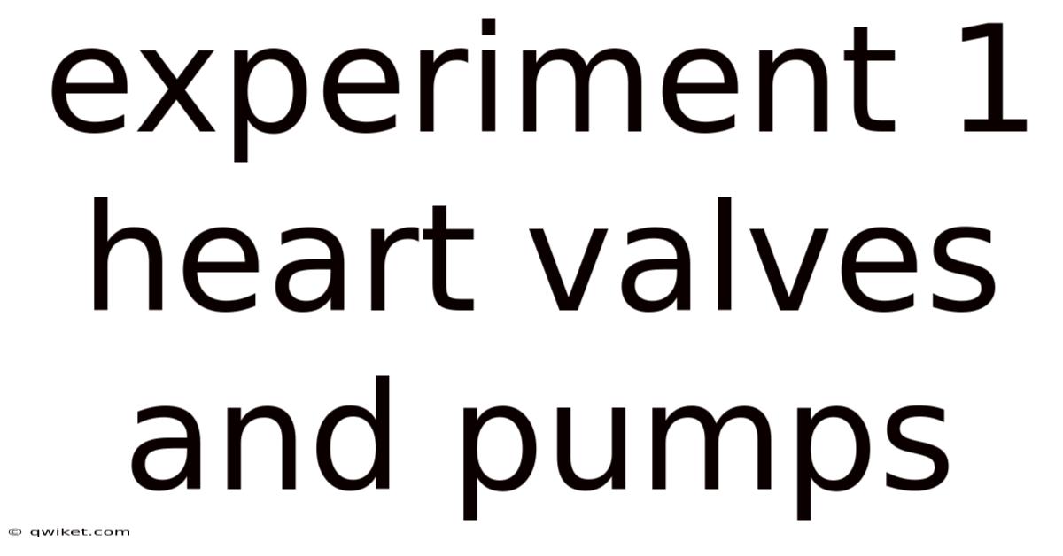 Experiment 1 Heart Valves And Pumps