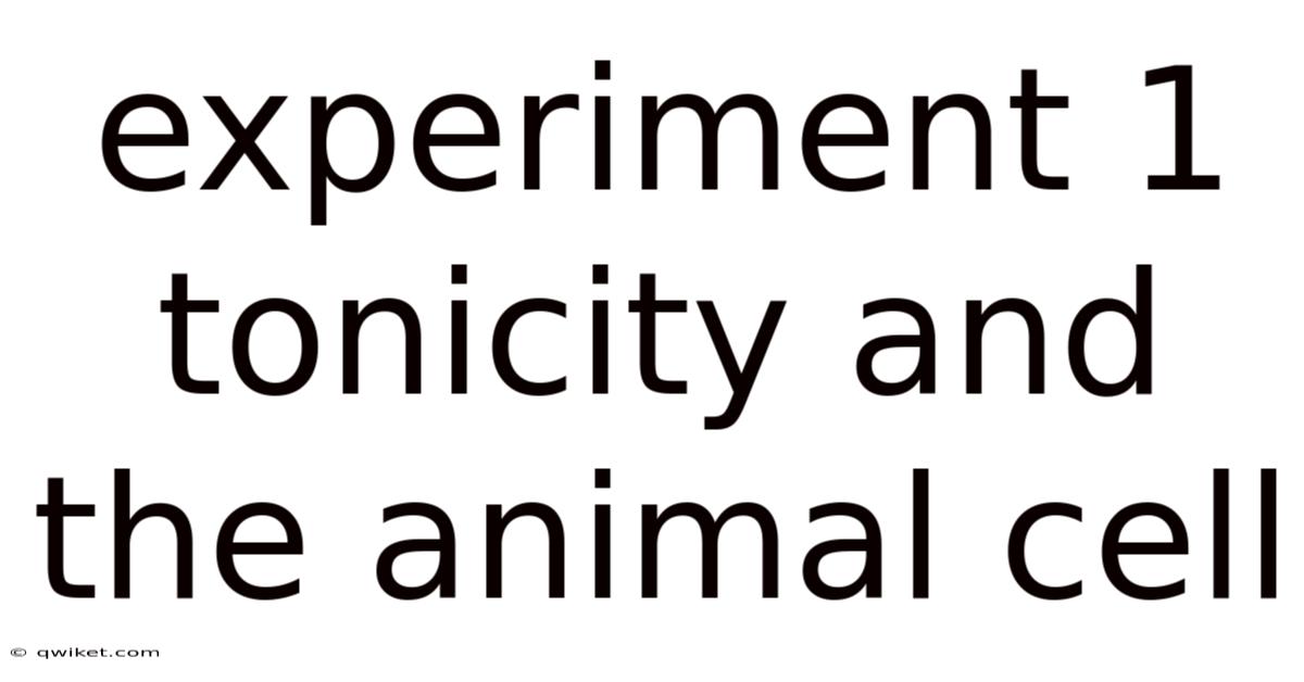 Experiment 1 Tonicity And The Animal Cell
