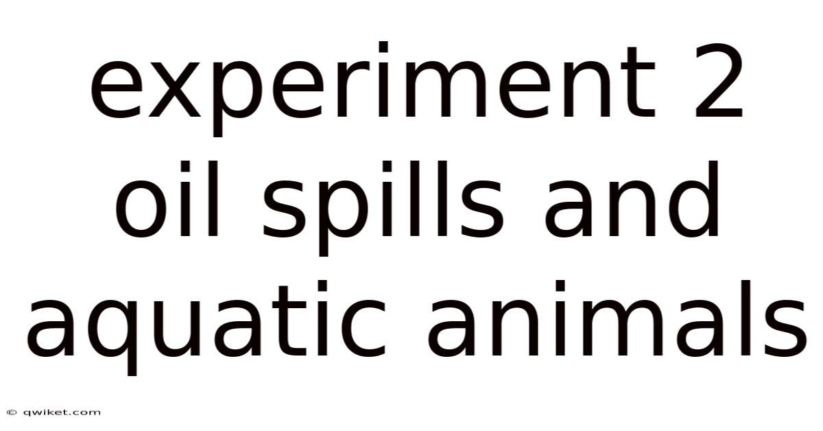 Experiment 2 Oil Spills And Aquatic Animals