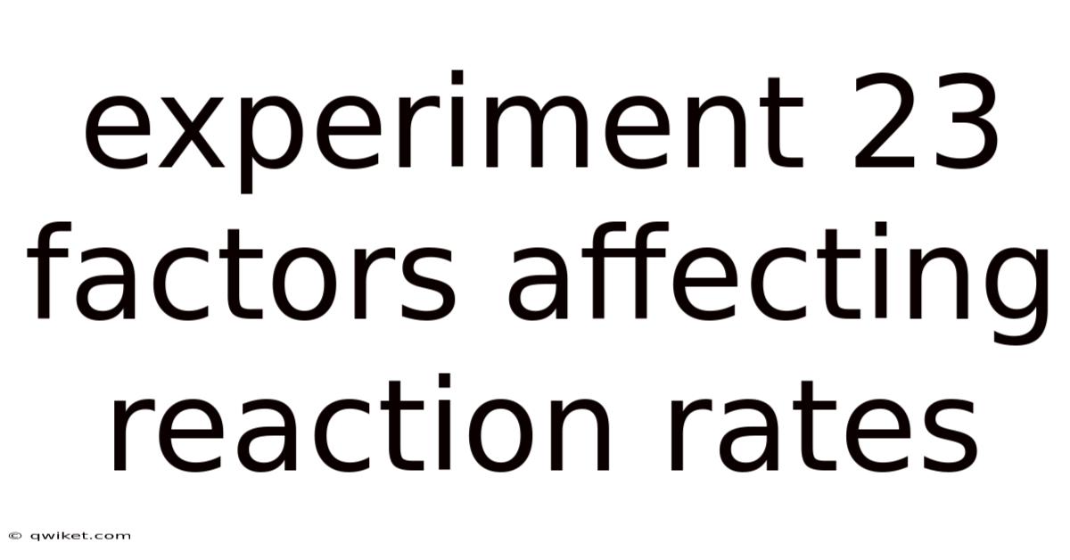 Experiment 23 Factors Affecting Reaction Rates