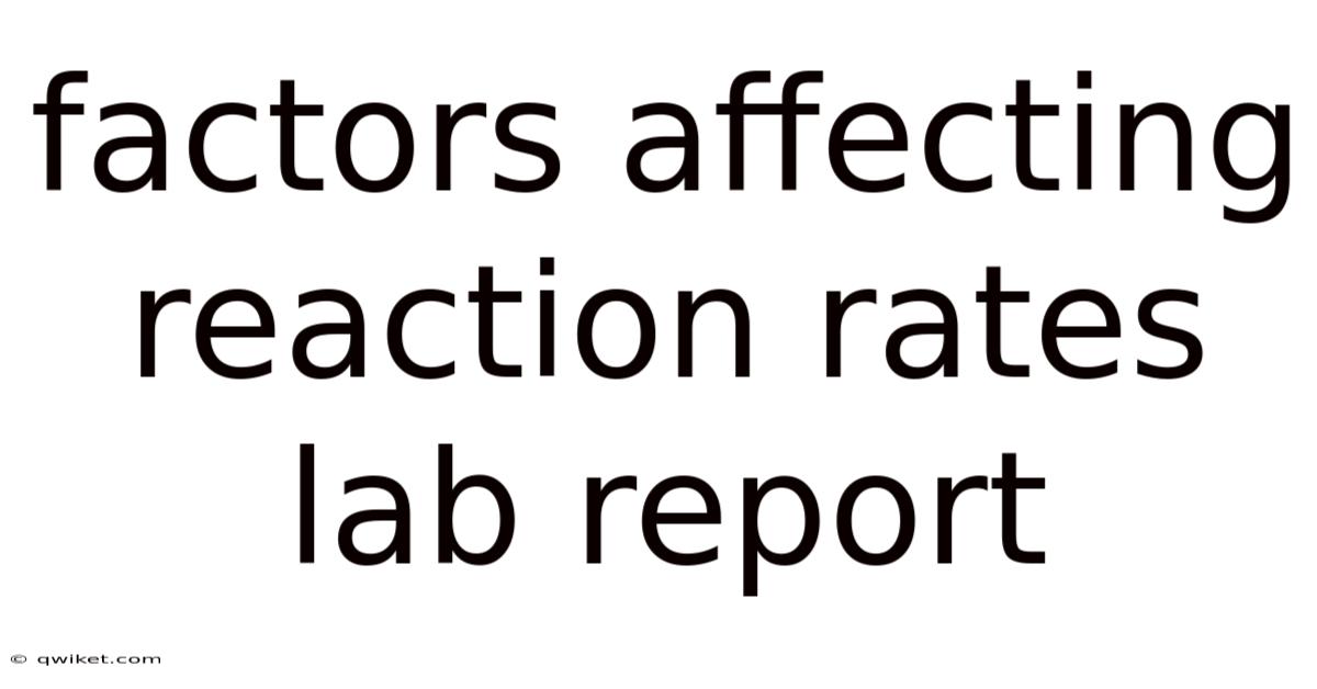 Factors Affecting Reaction Rates Lab Report
