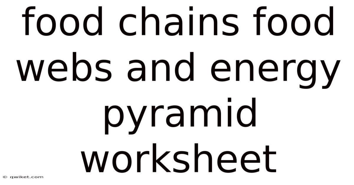 Food Chains Food Webs And Energy Pyramid Worksheet