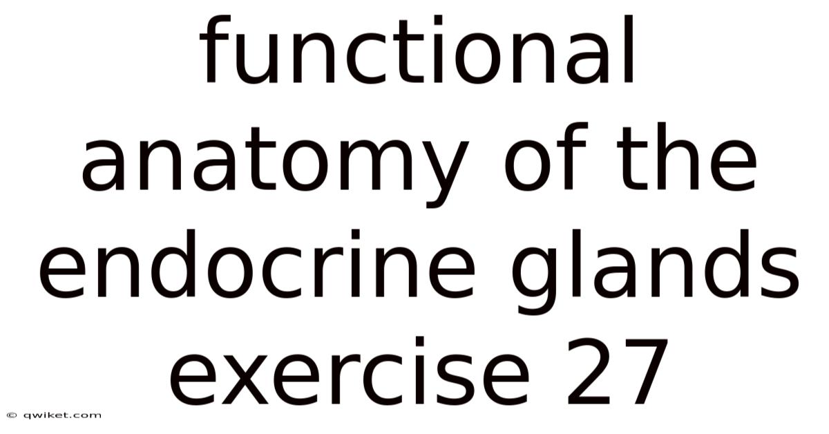 Functional Anatomy Of The Endocrine Glands Exercise 27