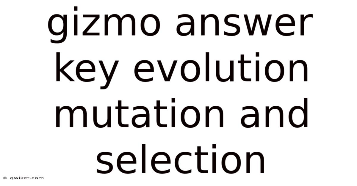 Gizmo Answer Key Evolution Mutation And Selection