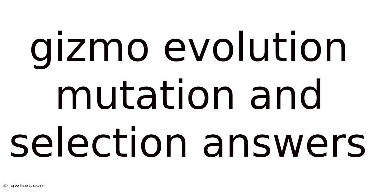 Gizmo Evolution Mutation And Selection Answers