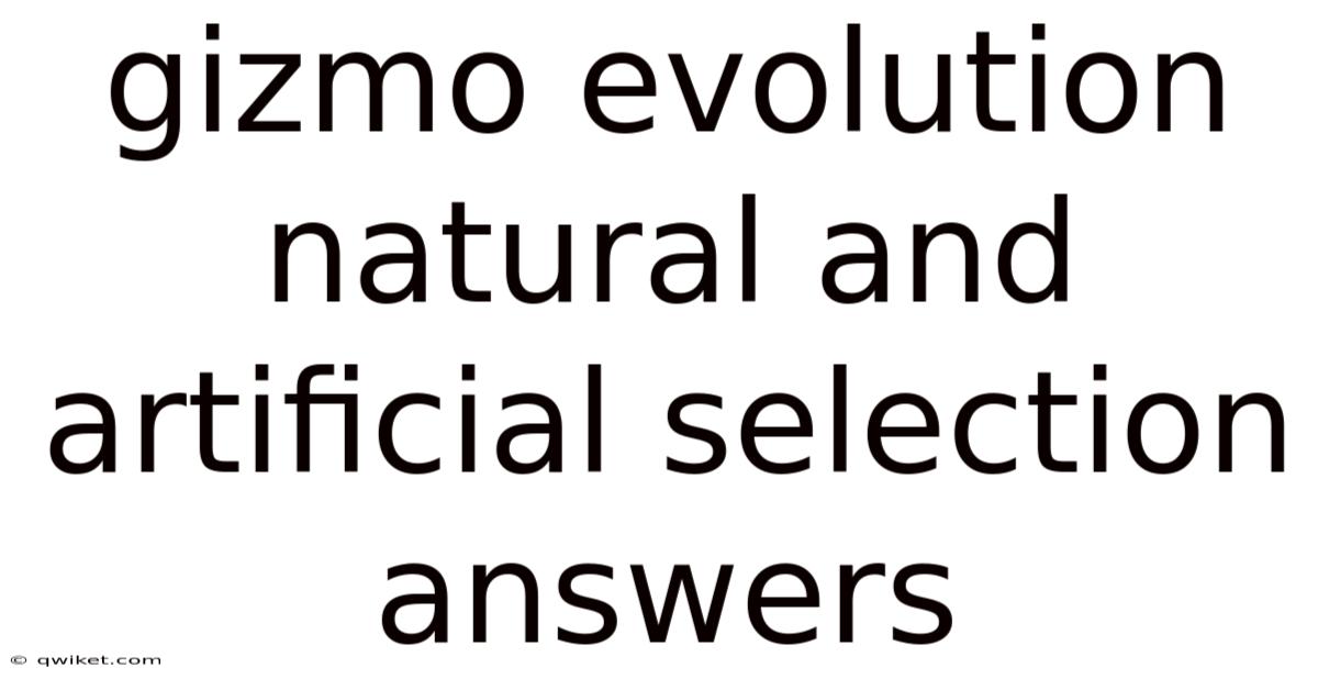 Gizmo Evolution Natural And Artificial Selection Answers