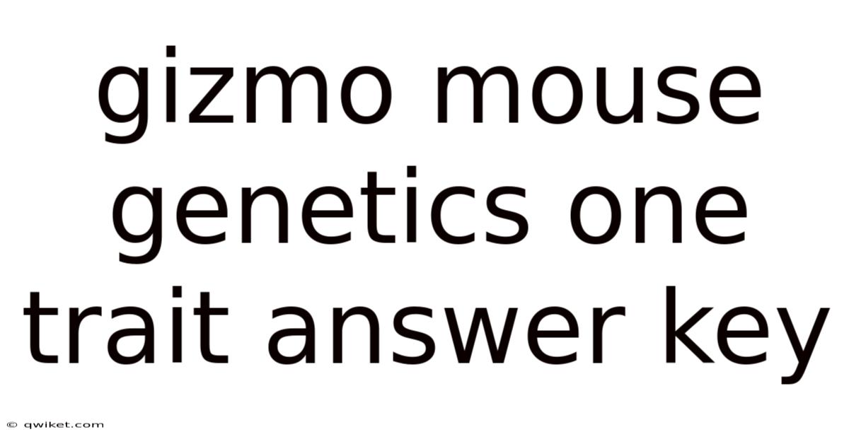 Gizmo Mouse Genetics One Trait Answer Key