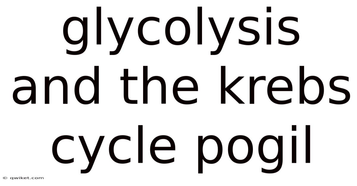 Glycolysis And The Krebs Cycle Pogil