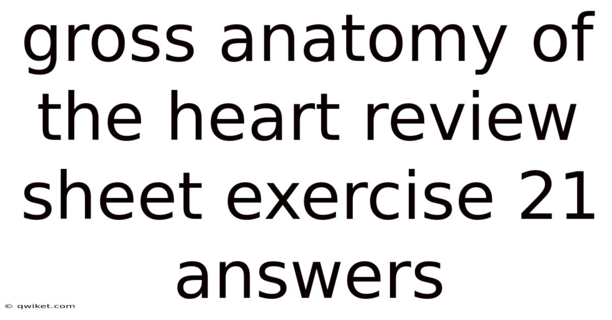 Gross Anatomy Of The Heart Review Sheet Exercise 21 Answers