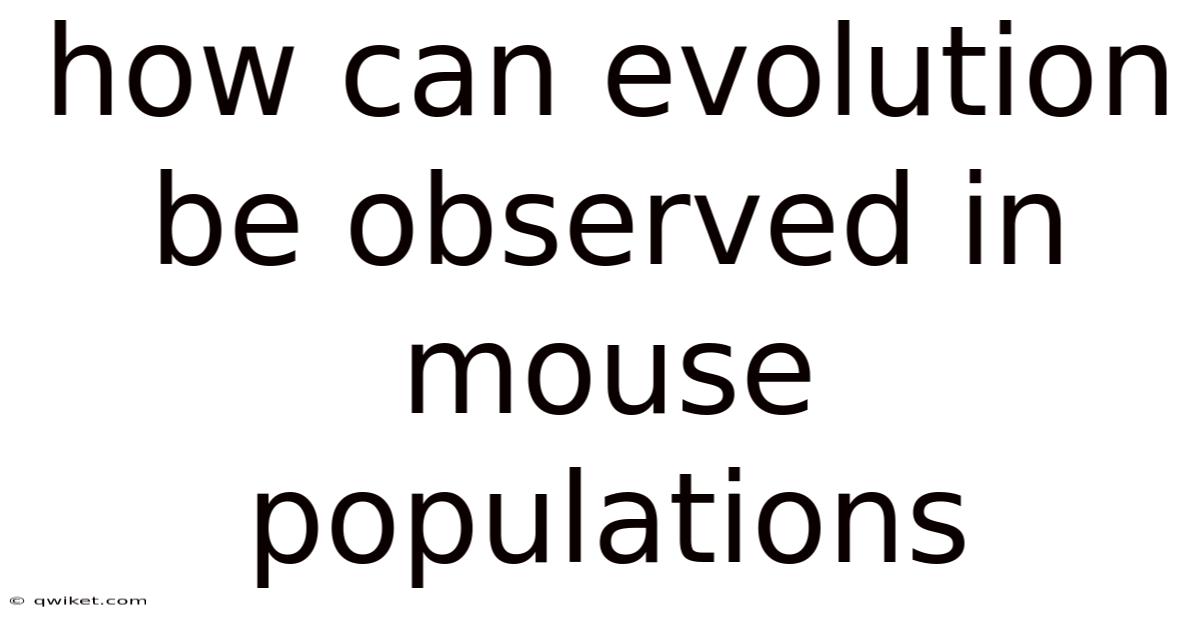 How Can Evolution Be Observed In Mouse Populations