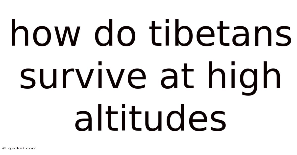 How Do Tibetans Survive At High Altitudes