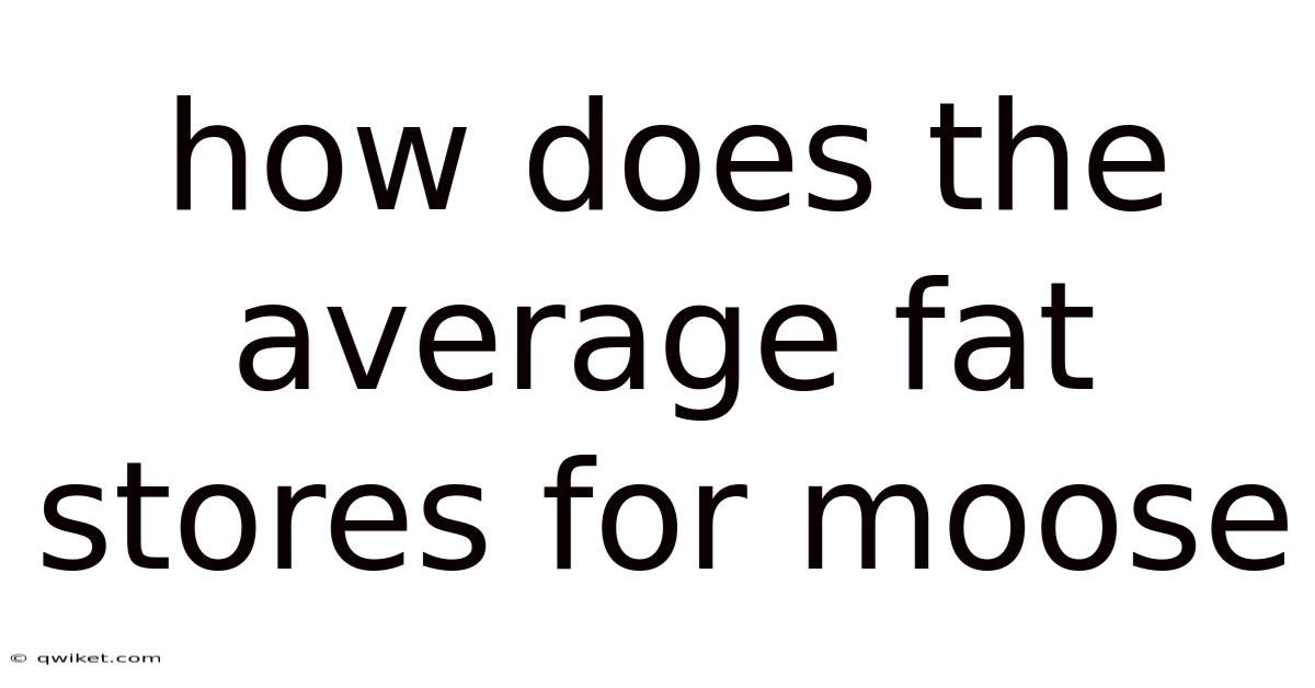 How Does The Average Fat Stores For Moose