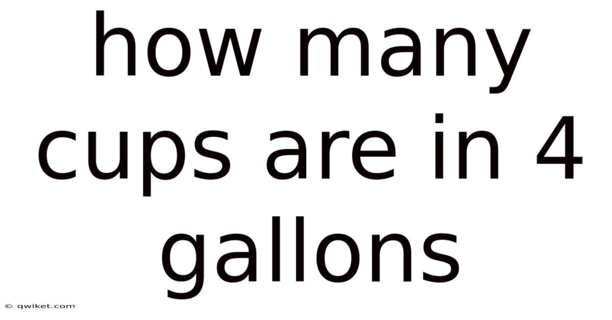 How Many Cups Are In 4 Gallons