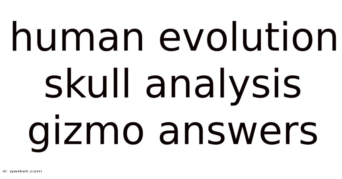 Human Evolution Skull Analysis Gizmo Answers