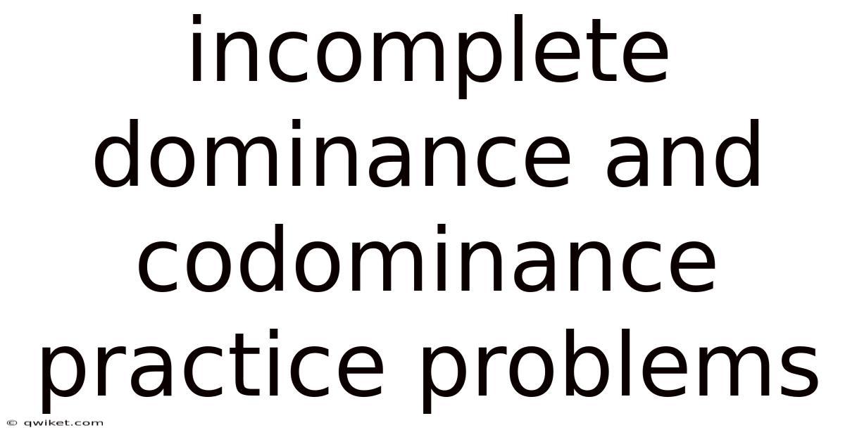 Incomplete Dominance And Codominance Practice Problems