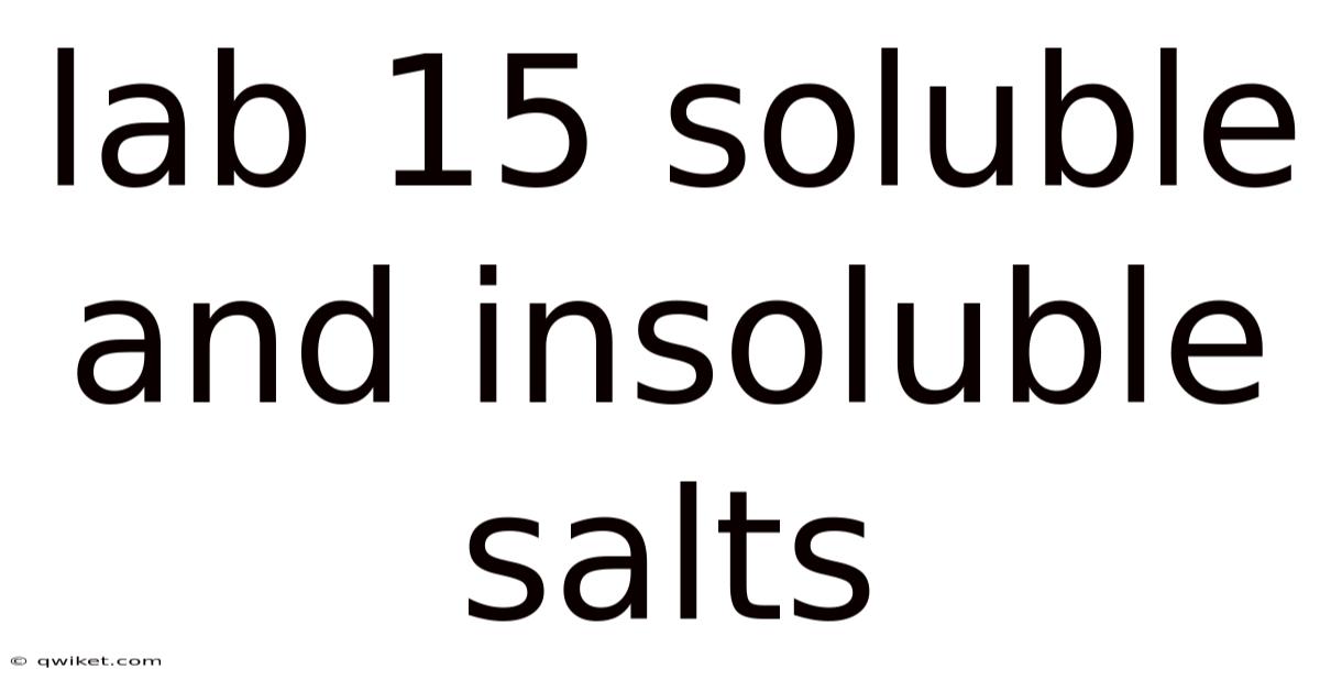 Lab 15 Soluble And Insoluble Salts