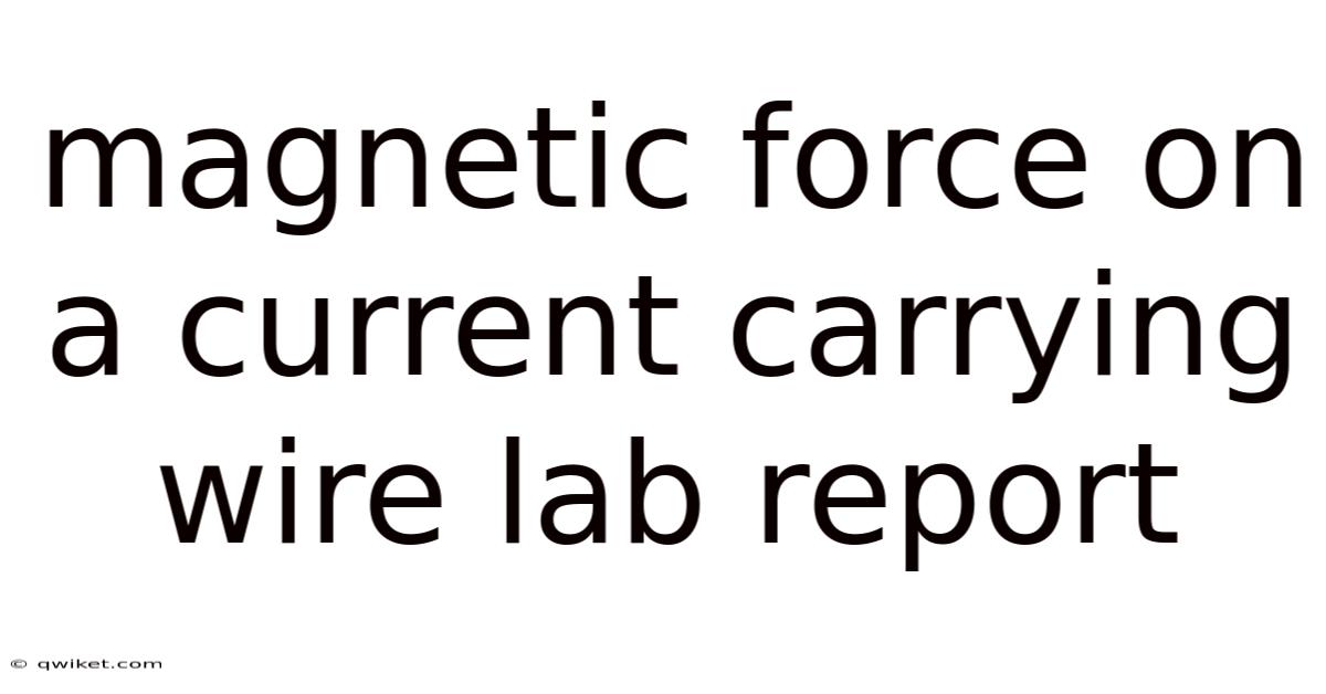 Magnetic Force On A Current Carrying Wire Lab Report