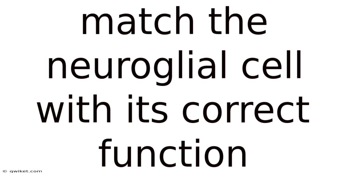 Match The Neuroglial Cell With Its Correct Function