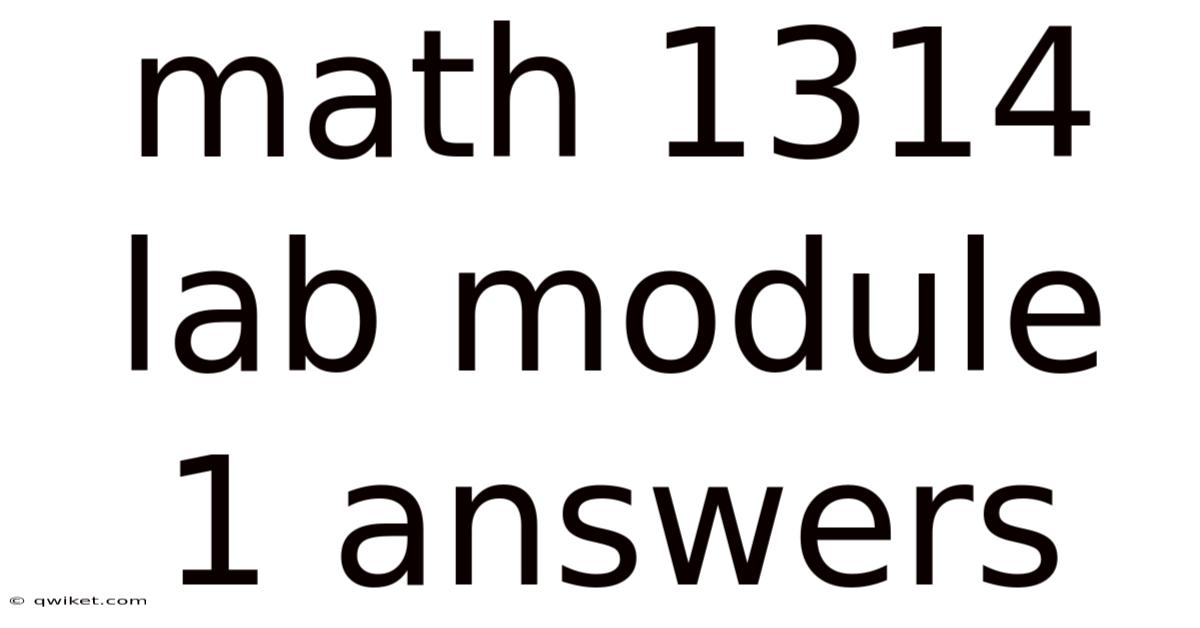 Math 1314 Lab Module 1 Answers