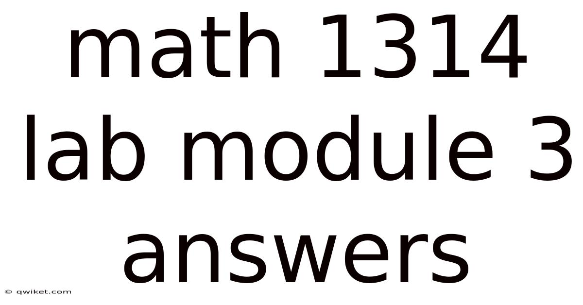 Math 1314 Lab Module 3 Answers
