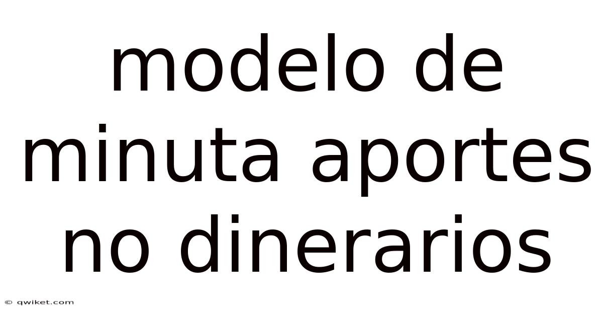 Modelo De Minuta Aportes No Dinerarios