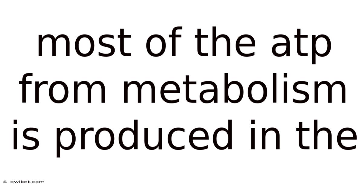 Most Of The Atp From Metabolism Is Produced In The
