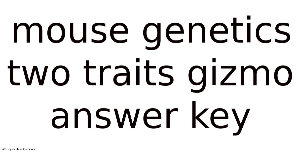 Mouse Genetics Two Traits Gizmo Answer Key