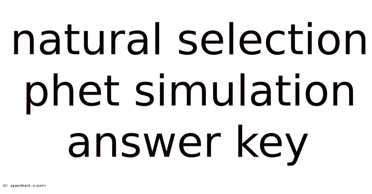 Natural Selection Phet Simulation Answer Key